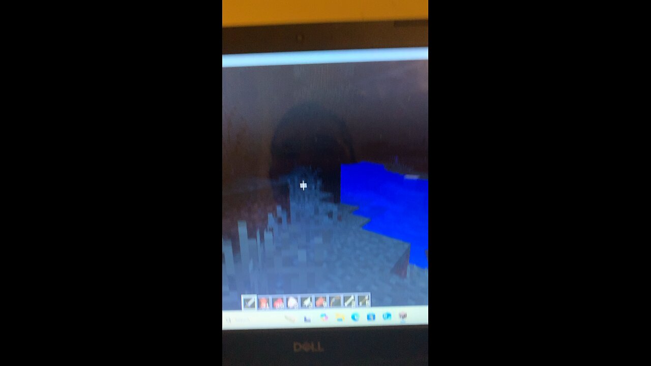 Playing Minecraft
