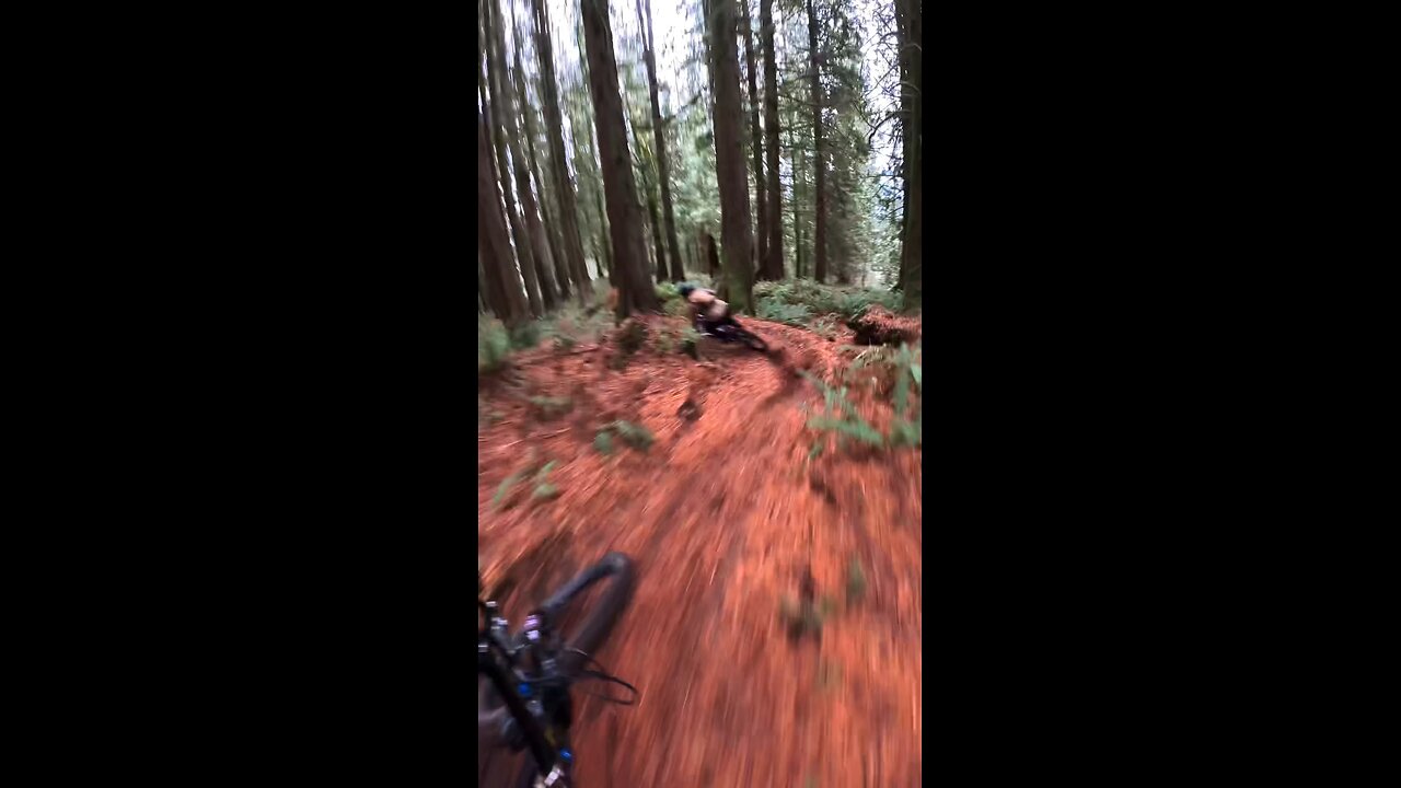 Canada “VEDDER” Mountain Bike Park with the boys