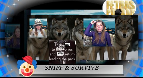 PETRAS PUCKAR 32 -SNIFF & SURVIVE