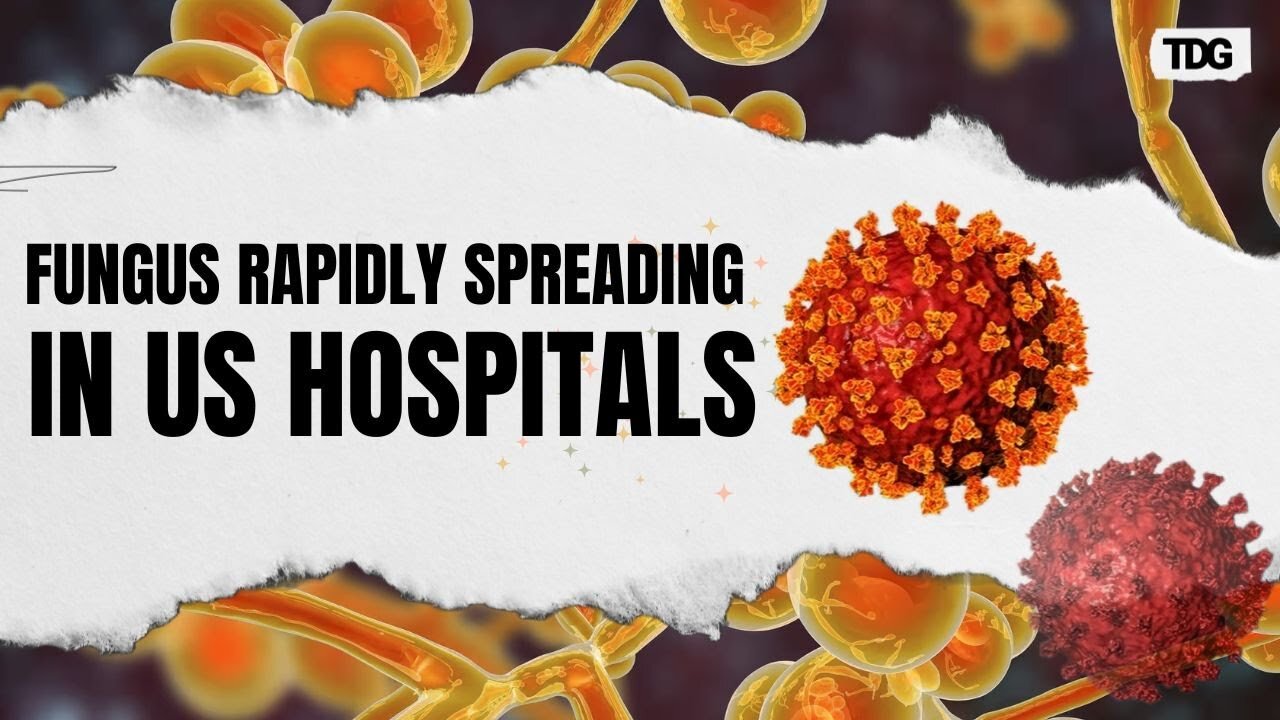 CDC Labels Fungus 'Urgent Threat' as It Spreads Rapidly Across US Hospitals