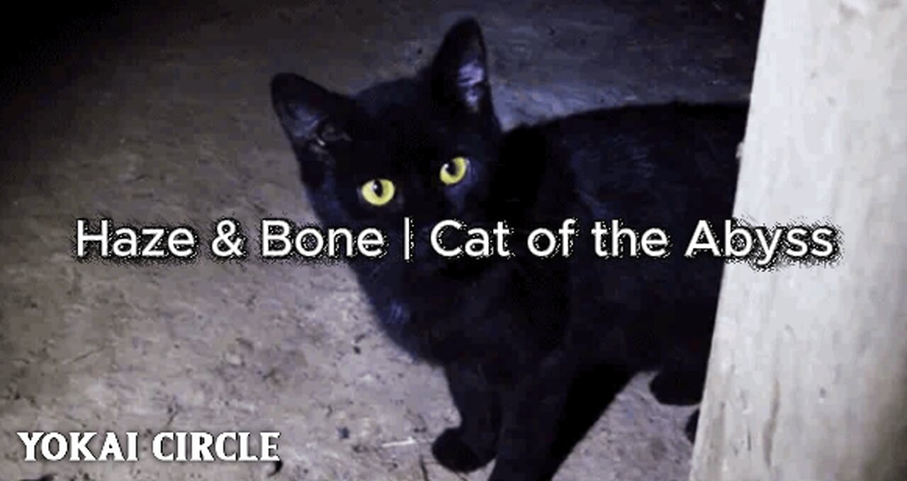 Haze & Bone | Cat of the Abyss