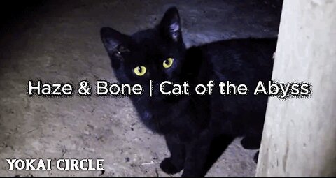 Haze & Bone | Cat of the Abyss