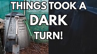 Compost Bin Corner: Spot the🐁 & October Harvest🎃 on the Allotment!