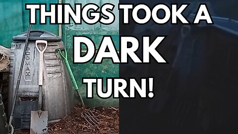 Compost Bin Corner: Spot the🐁 & October Harvest🎃 on the Allotment!