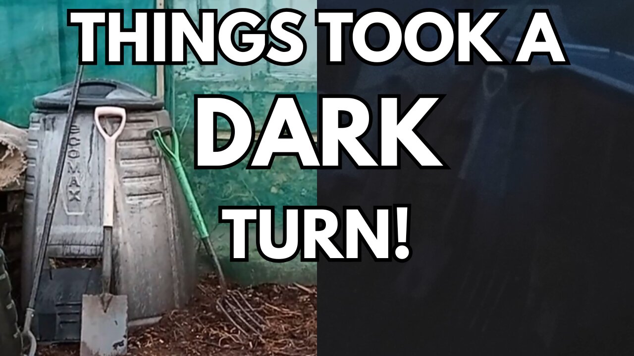 Compost Bin Corner: Spot the🐁 & October Harvest🎃 on the Allotment!