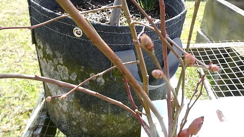 Propagation