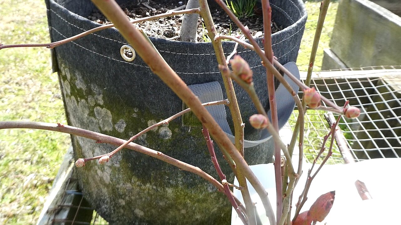 Propagation