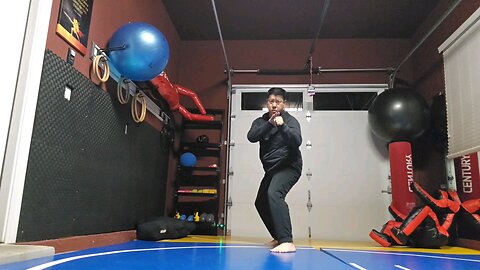 WTD Sliding Crescento Kick to Front Heel Kick sequential