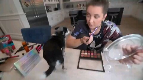 My Dogs Pick My Makeup