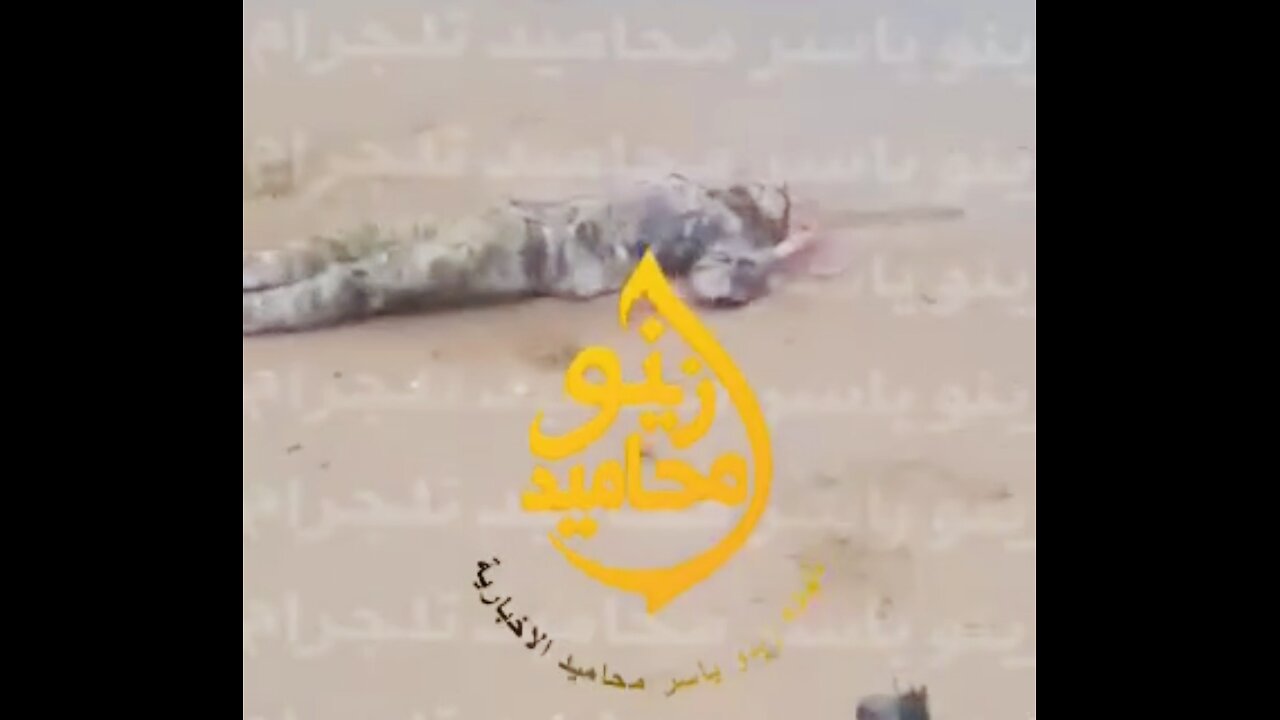 🇸🇾 🔥 Syria on Fire: It seems that Raqqa has fallen