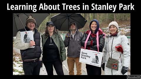 Learning About Trees in Stanley Park