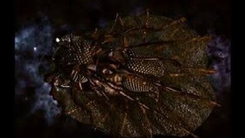 Lexx-S02xE16-The_Web