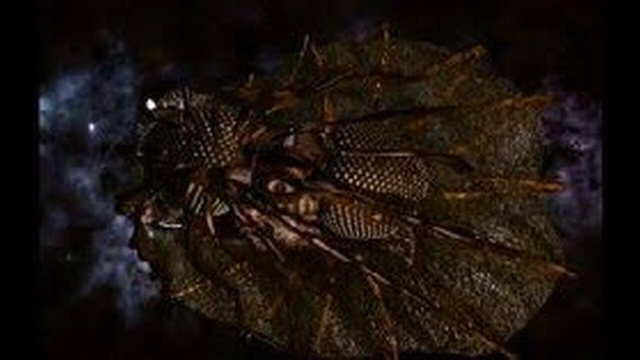 Lexx-S02xE16-The_Web