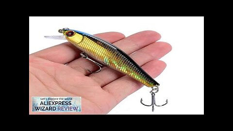 1PCS Japan Hot Model Sinking Minnow Fishing Lures 8.5cm 9.2g Jerkbait Bass Review