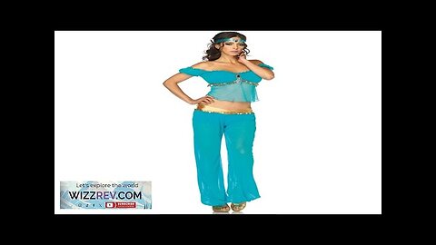 Arabian Beauty Womens Costume Review