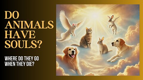 Do Animals Have SOULS?