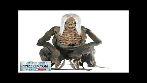 Crouching Bones Animated Halloween Decoration Review