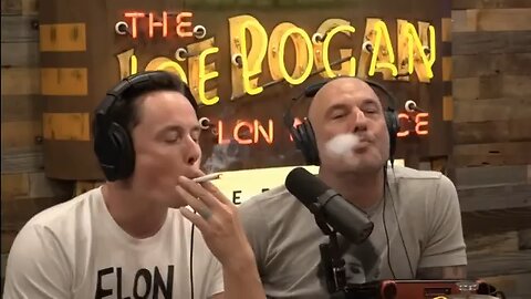 Joe Rogan Shenanigans (AI 2024)