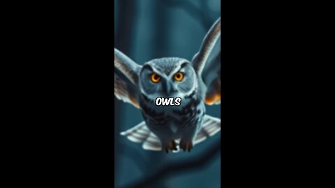 owls fly