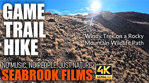 Game Trail Hike: Windy Trek on a Rocky Mountain Wildlife Path