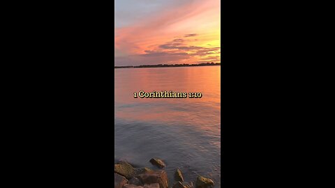 1 Corinthians 1:10 (NIV)