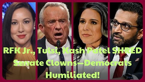 RFK Jr., Tulsi, Kash Patel SHRED Senate Clowns—Democrats Humiliated!