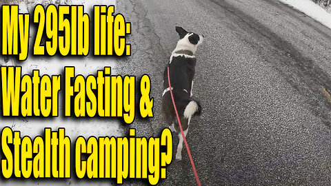 Water Fasting and Stealth Camping? My 295lb Life Ep. 20