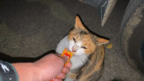 You are so good. Sit here and wait for me to feed you.