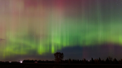 Northern Lights from my home in MN (Nov 12 2025)