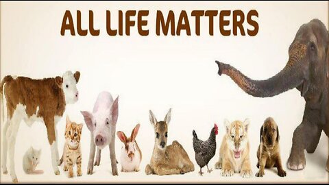 World of Animals
