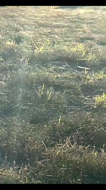 They spray us at night...