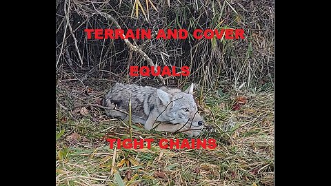 Using Terrain and Cover To Create Successful Sets