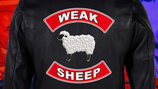 AA_IB_488_Understanding_Weak_Sheep