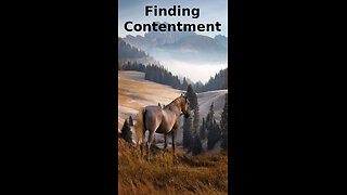 TRINI 🌴🌴 329 ~ Finding Contentment