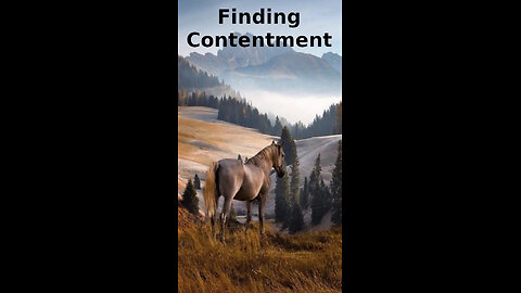 TRINI 🌴🌴 329 ~ Finding Contentment