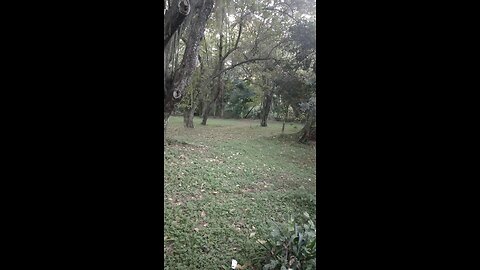 Happy New Year 2026 🎉 Walking into Nature