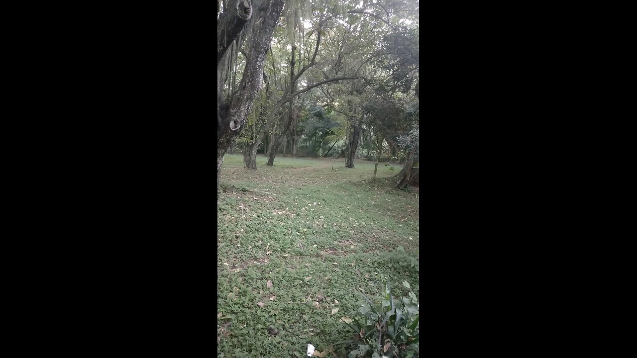 Happy New Year 2026 🎉 Walking into Nature