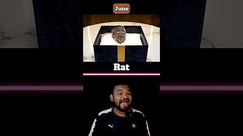 Birthmonth Ai Gift