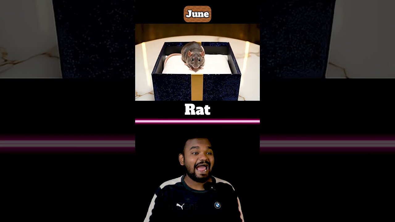 Birthmonth Ai Gift