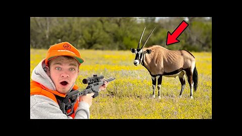 I Hunted Exotic Animals in Texas for the First Time!