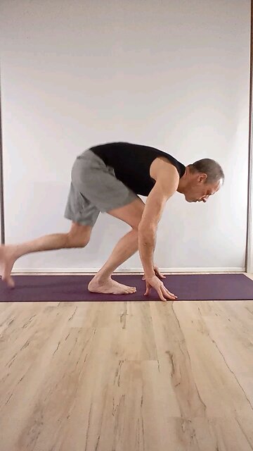 Half splits / ardha hanumanasana