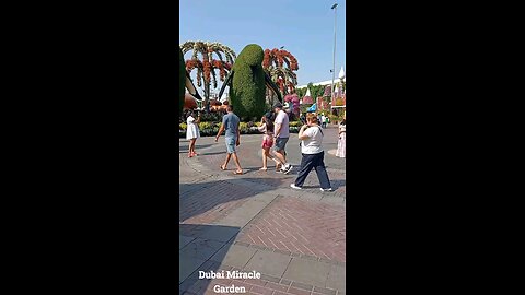 Dubai Miracle Garden 2025