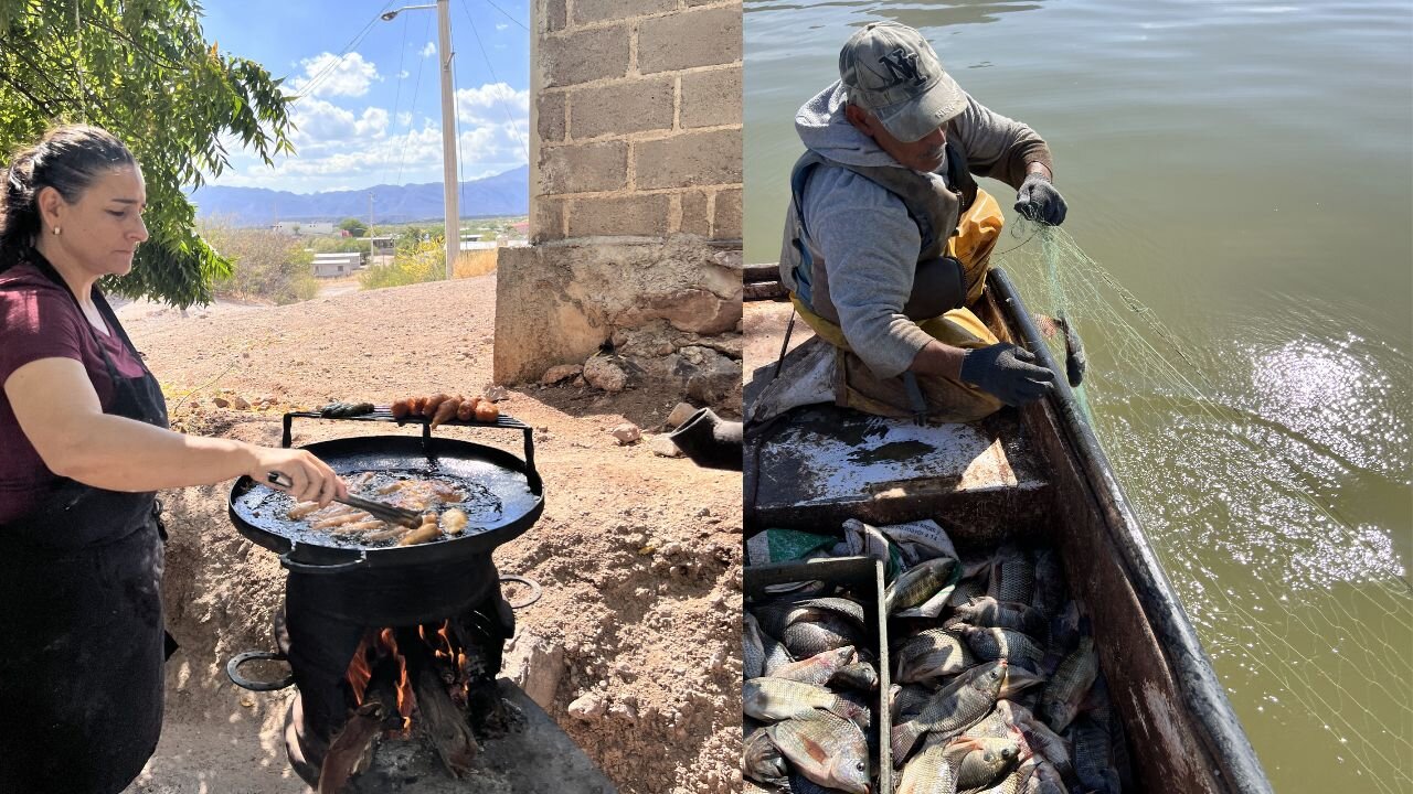 Pescado Capeado al Disco - Estilo Sonora - La Herencia de las Viudas