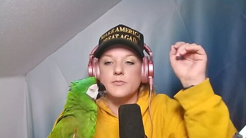 Prepping to record. Minnow wanted to join.