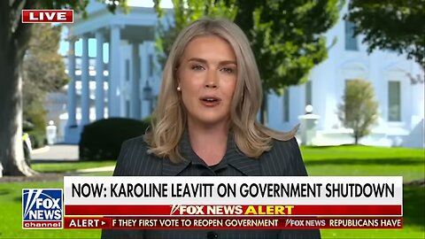 Leavitt FIRES BACK at Mamdani after Fox News interview