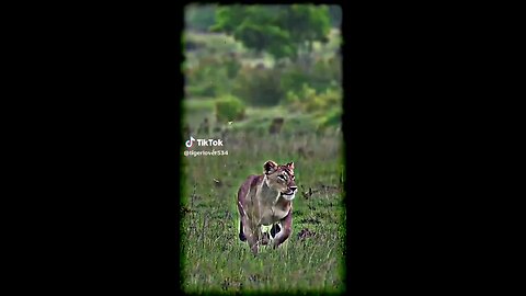 plz subscribe my chanal