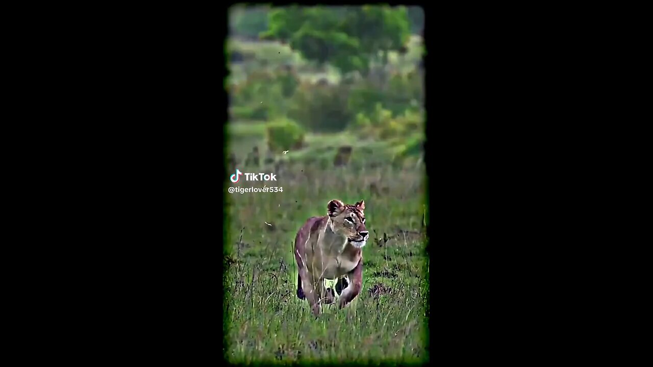 plz subscribe my chanal