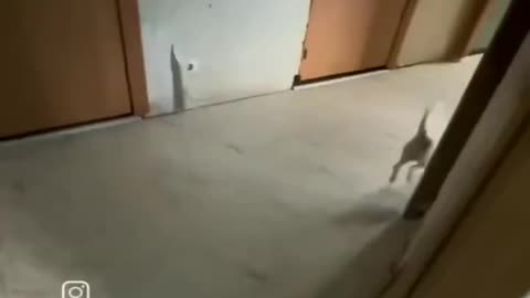 Woe Day 91. I am in the ark. Waiting for GOD to open the Door for a spring/summer Pentecost rapture