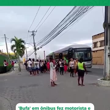 BUFA NO ÔNIBUS