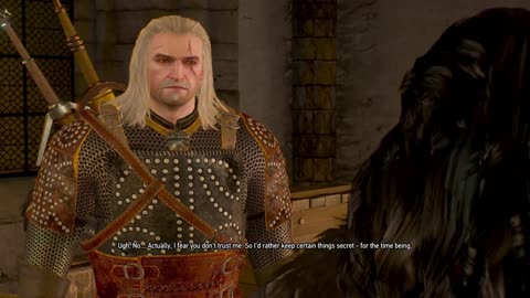 The WItcher 29